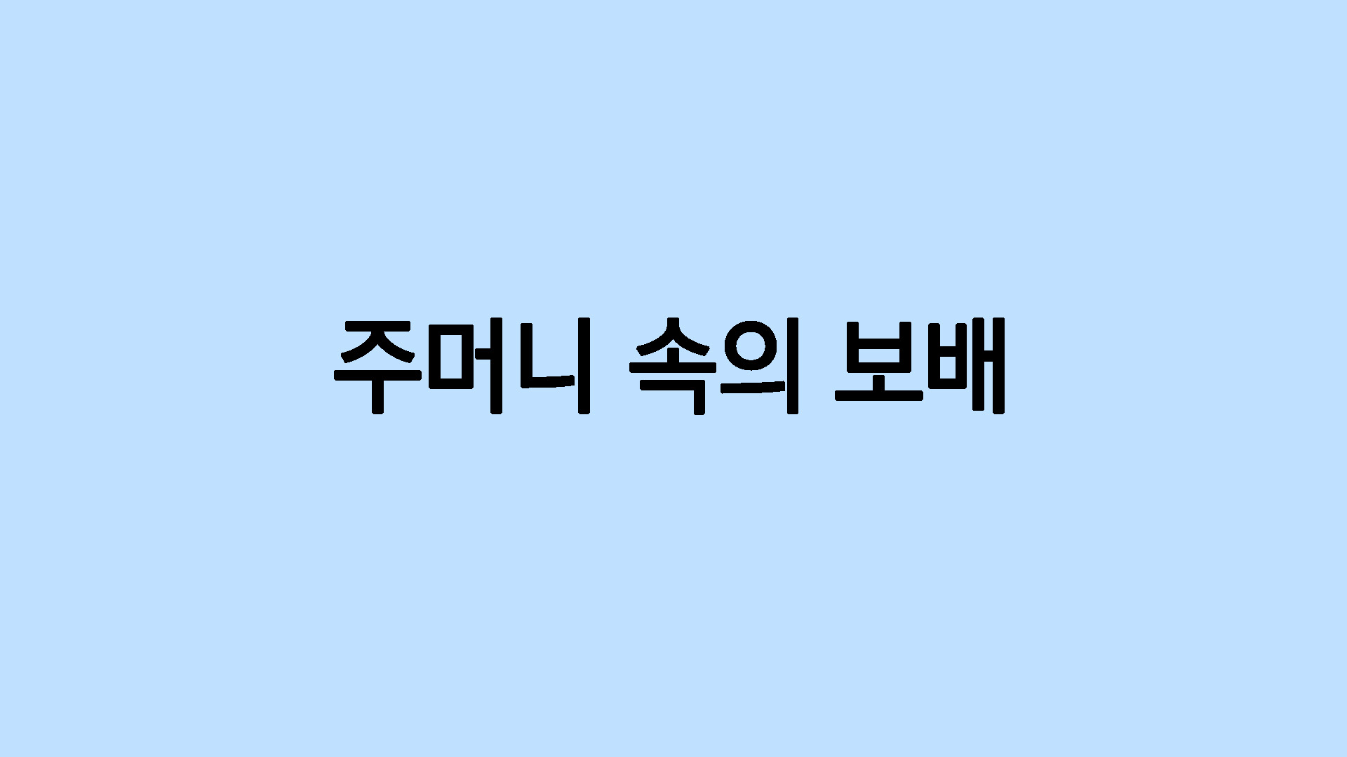 주머니 속의 보배