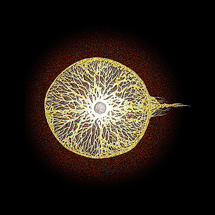 Point of view: Ambassador of Ego
