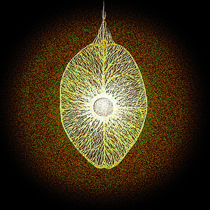 Egoic Impossibility of Self-Accusation