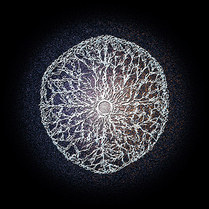'Cogito ergo Sum' et 'Sum'