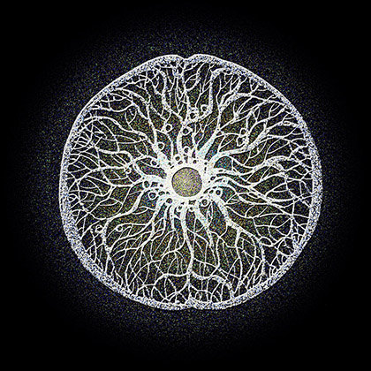State of 'Consciousness' and 'Ego'